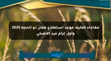 مفاجأة فلكية: موعد استطلاع هلال ذو الحجة 2025 وأول أيام عيد الأضحى